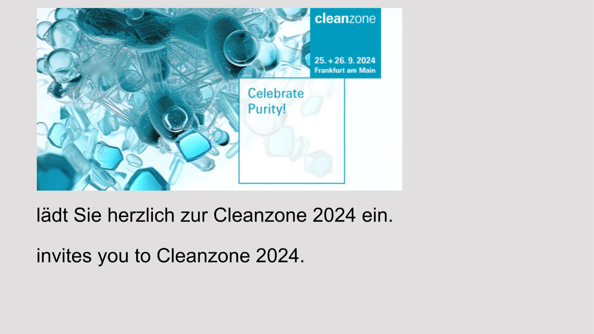Cleanzone Gutschein